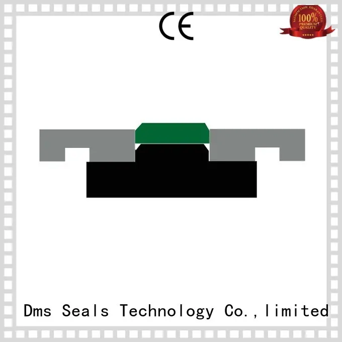 DMS Seal Manufacturer compact rubber piston seals manufacturer for sale 1