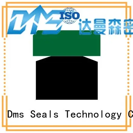 gsdw hydraulic piston seals spgw for pneumatic equipment DMS Seal Manufacturer 1