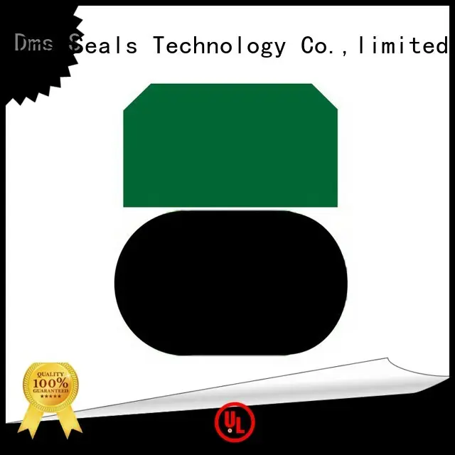 DMS Seal Manufacturer tpm piston seals manufacturer for light and medium hydraulic systems 1
