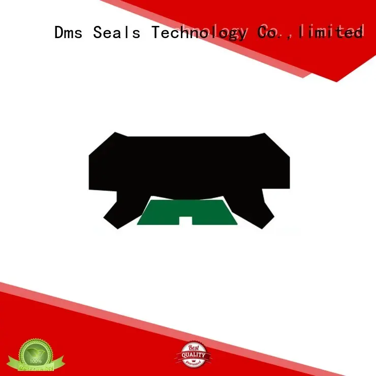 DMS Seal Manufacturer bronze rod seals gsi to high and low speed 1
