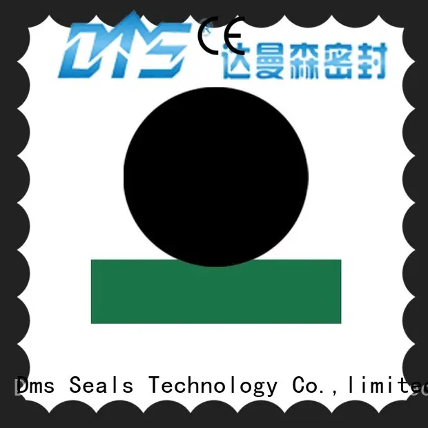 DMS Seal Manufacturer high quality o-ring seal with nbr or fkm o ring to high and low speed 1