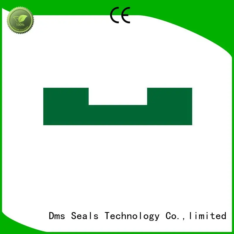 professional rubber seal ring manufacturers high end as the guide sleeve DMS Seal Manufacturer 1