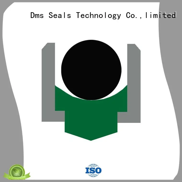 oa rotary shaft seals online for construction machinery DMS Seal Manufacturer 1