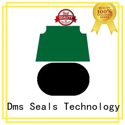 ptfe hydraulic piston seals glyd ring for pneumatic equipment 1