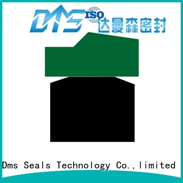 DMS Seal Manufacturer bronze hydraulic piston seals sizes with ptfe nbr and pom for light and medium hydraulic systems 1