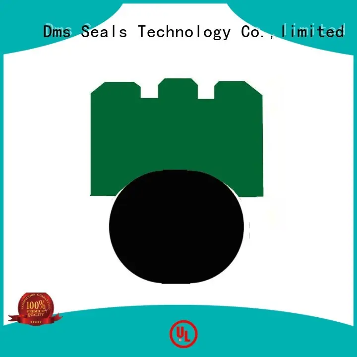 DMS Seal Manufacturer oi rotary seals catalogue online for automotive equipment 1