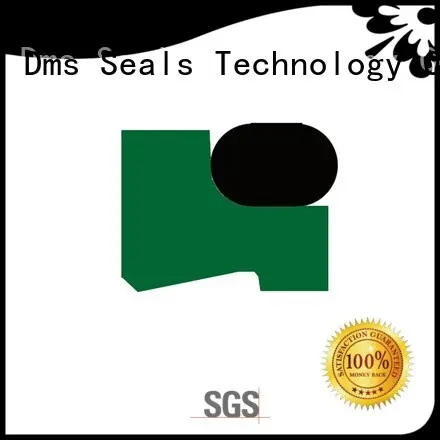 professional metric wiper seal manufacturer for injection molding machines DMS Seal Manufacturer 1