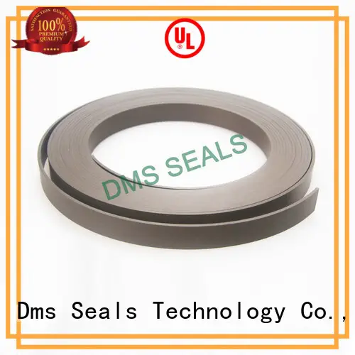 DMS Seal Manufacturer virgin oil seal ring guide strip for sale 1