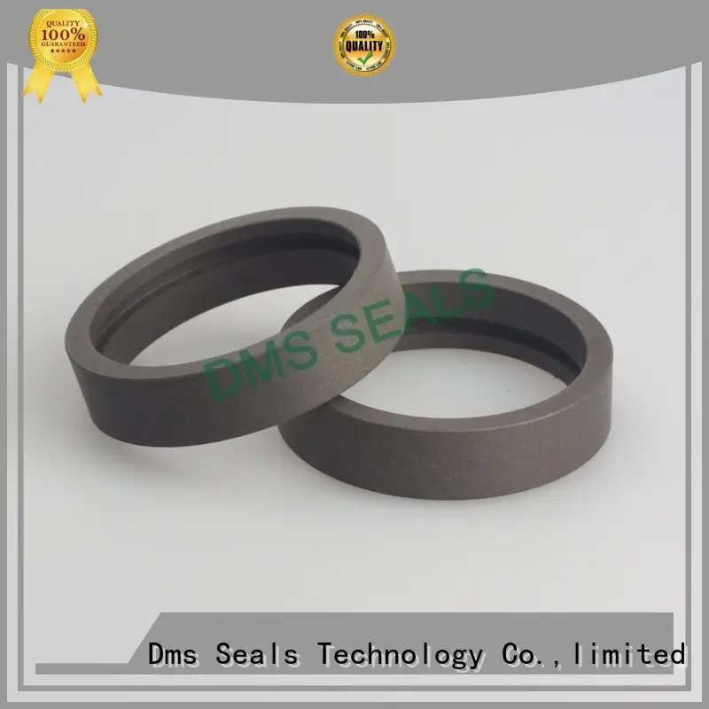rubber seal ring manufacturers dfa for sale DMS Seal Manufacturer 1