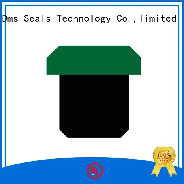 DMS Seal Manufacturer compact o-ring seal with nbr or fkm o ring for pneumatic equipment 1