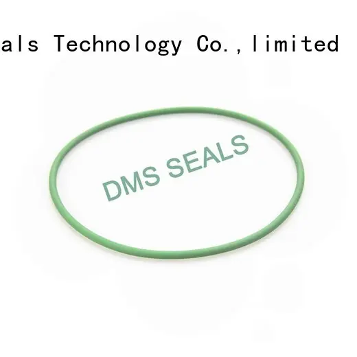 nbr oil seal ring in highly aggressive chemical processing DMS Seal Manufacturer 1