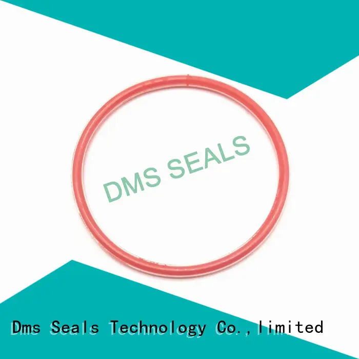 teflon oil seal ring design in highly aggressive chemical processing 1