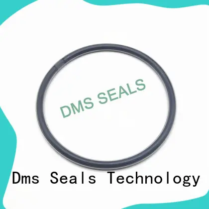 DMS Seal Manufacturer high temperature O Ring Manufacturer nbr for sale 1