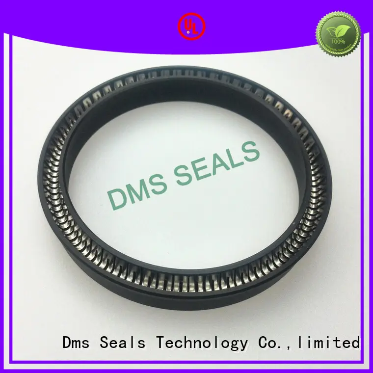 DMS Seal Manufacturer spring energized seals parts for reciprocating piston rod or piston single acting seal 1