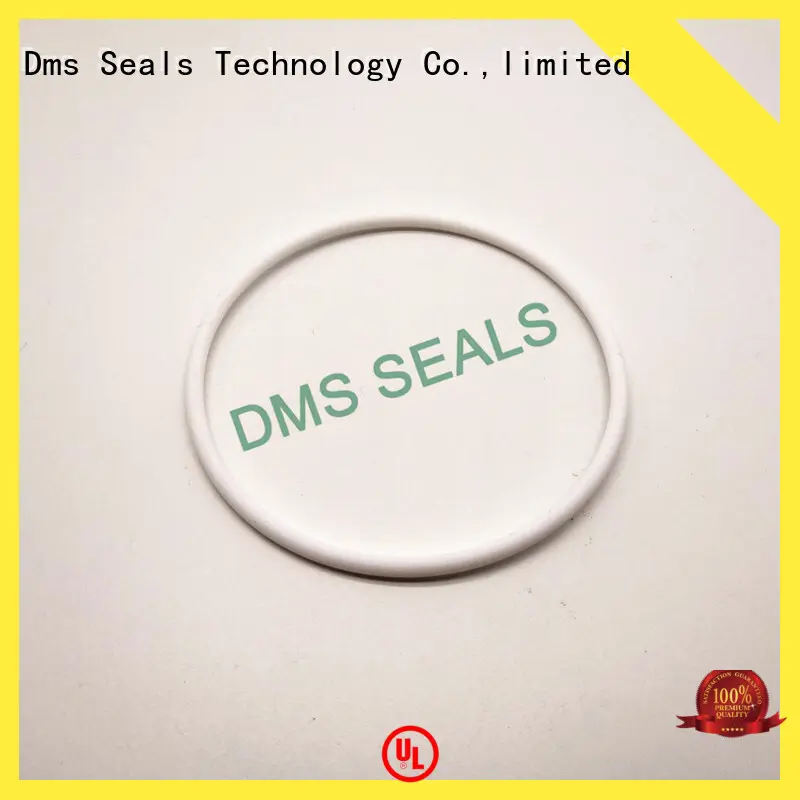 hydraulic wiper seals in highly aggressive chemical processing DMS Seal Manufacturer 1