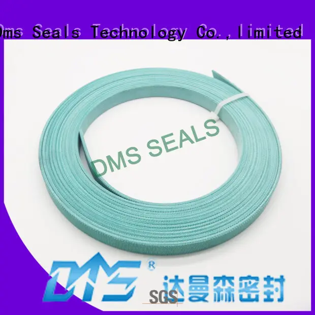 oil seal manufacturer as the guide sleeve DMS Seal Manufacturer 1
