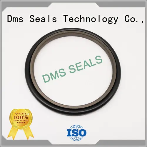40% Bronze Filled PTFE Hydraulic Rod Seal 1