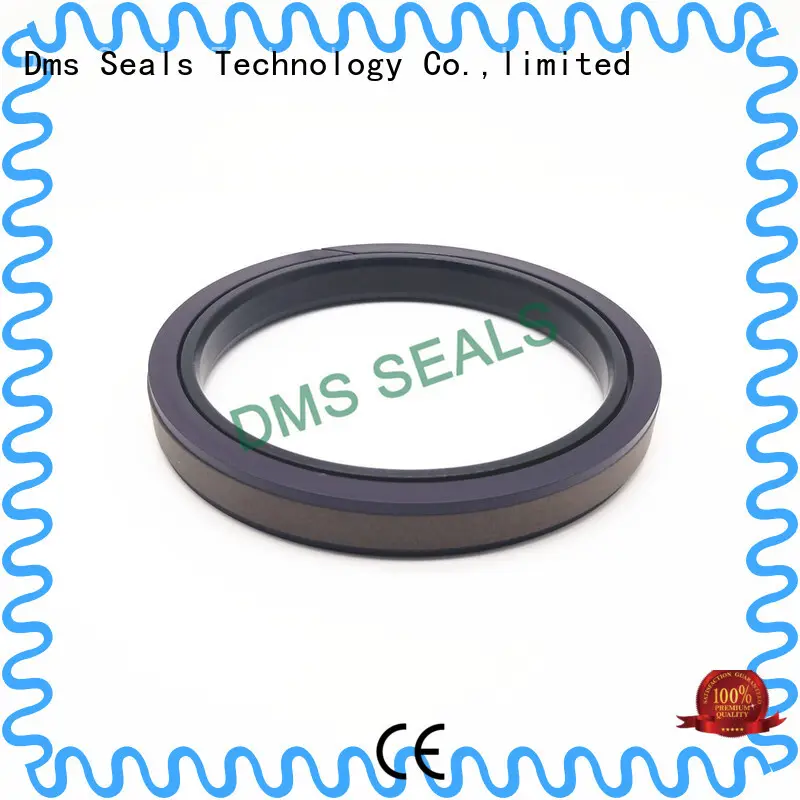 Hydraulic Compact Piston Seal SPGW 1