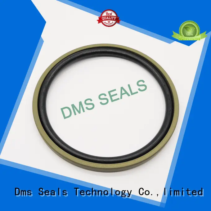 40% Bronze Filled PTFE Hydraulic Piston Glyd Ring 1