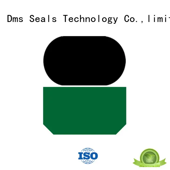 GSI - PTFE Hydraulic Rod Seal with NBR/FKM O-Ring 1