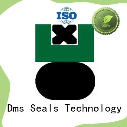DAQ - PTFE Hydraulic Piston Seal with NBR/FKM O-Ring 1