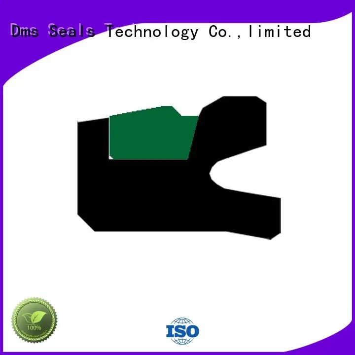 DDA - PTFE Hydraulic Piston Seal with NBR/FKM O-Ring 1