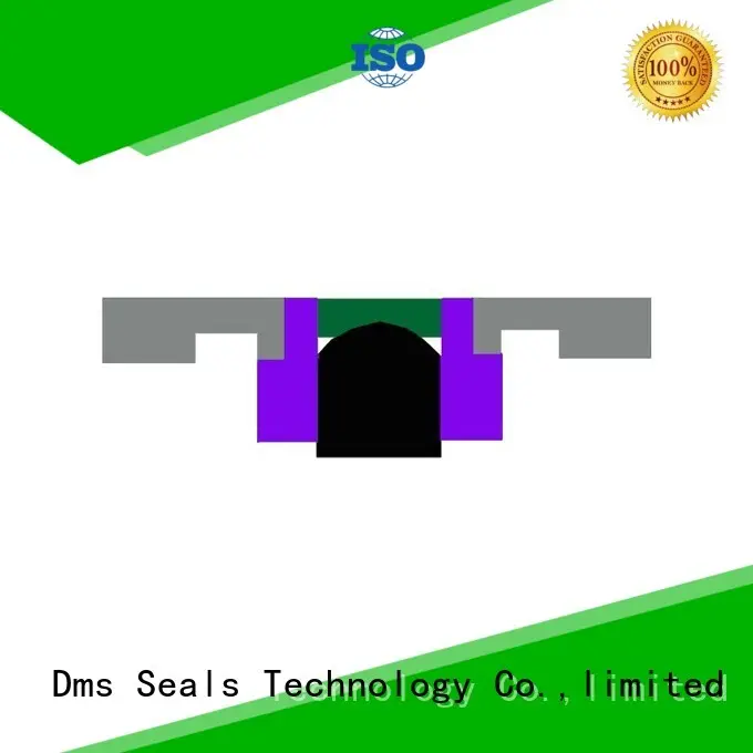DDKK - PTFE Hydraulic Piston Seal with NBR/FKM O-Ring 1