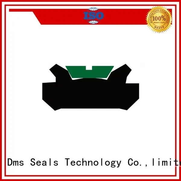 DDMA - PTFE Hydraulic Piston Seal with NBR/FKM O-Ring 1