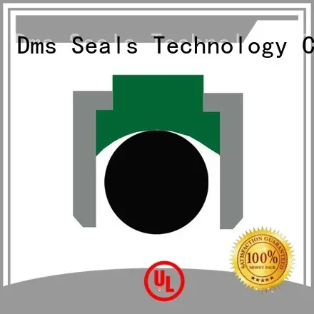 DGDA - PTFE Hydraulic Piston Seal with NBR/FKM O-Ring 1