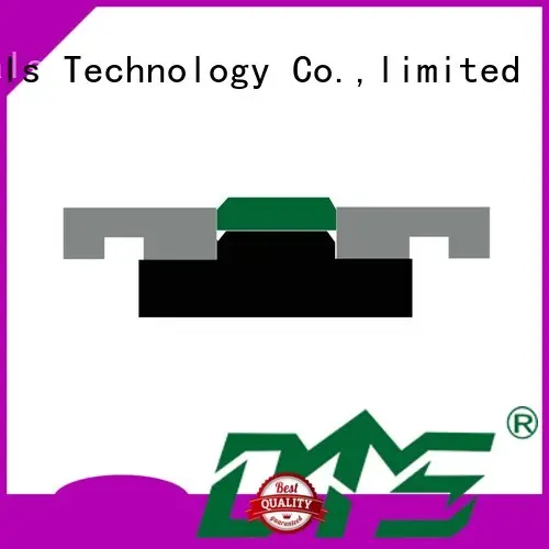 DKDF - PTFE Hydraulic Piston Seal with NBR/FKM O-Ring 1