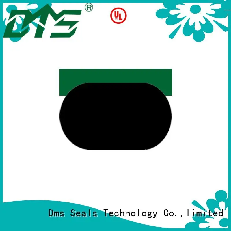 SPGC - PTFE Hydraulic Piston Seal with NBR/FKM O-Ring 1