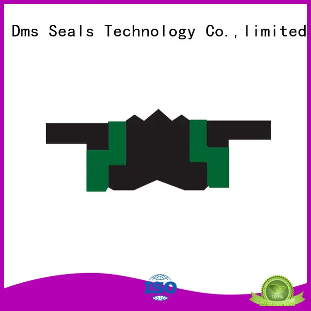 Compact Piston Seal Combined Seal TPM DAS KDAS 1
