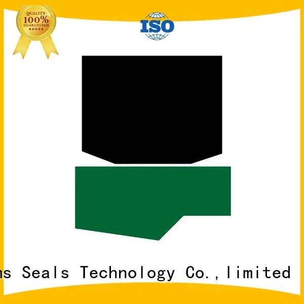 GSJ-W - PTFE Hydraulic Rod Seal with NBR/FKM O-Ring 1