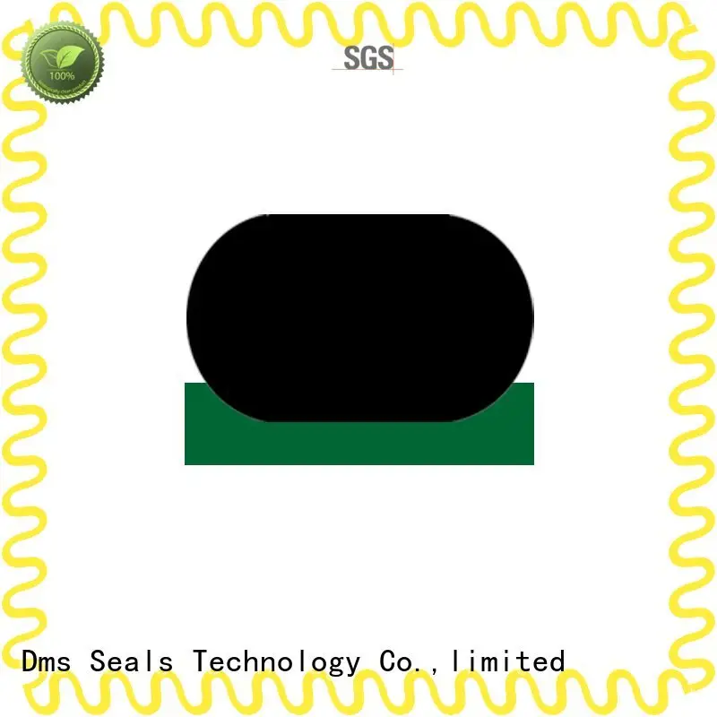 SPNC - PTFE Hydraulic Rod Seal with NBR/FKM O-Ring 1