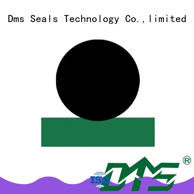 SPNO - PTFE Hydraulic Rod Seal with NBR/FKM O-Ring 1