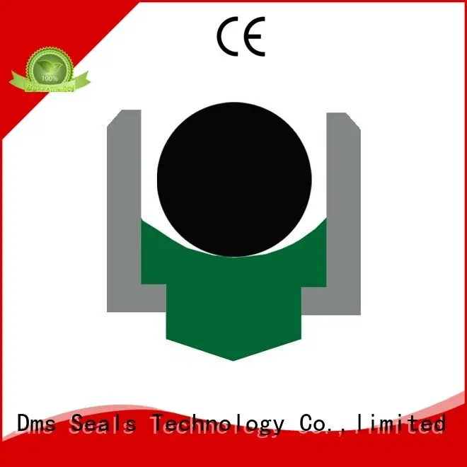 OI - PTFE Hydraulic Rotary Seal with NBR/FKM O-Ring 1