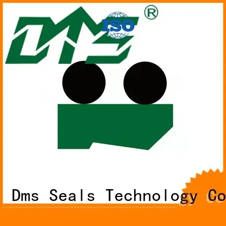 DPT1 - PTFE/PU Hydraulic Scraper Seal with NBR/FKM O-Ring 1