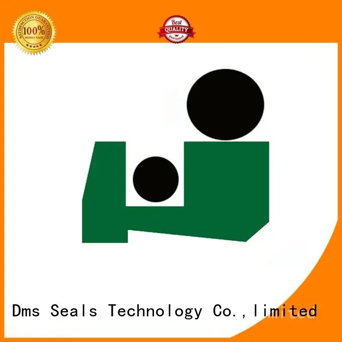 DPT2 - PTFE Hydraulic Scraper Seal with NBR/FKM O-Ring 1