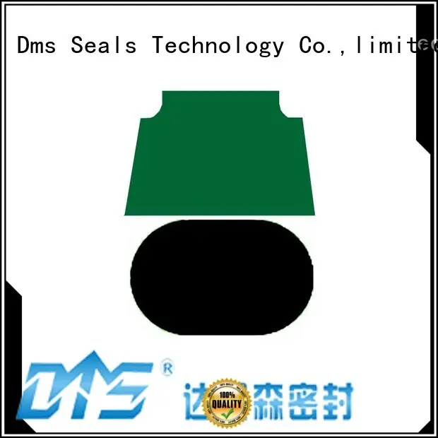 DPT - PTFE Hydraulic Piston Seal with NBR/FKM O-Ring 1