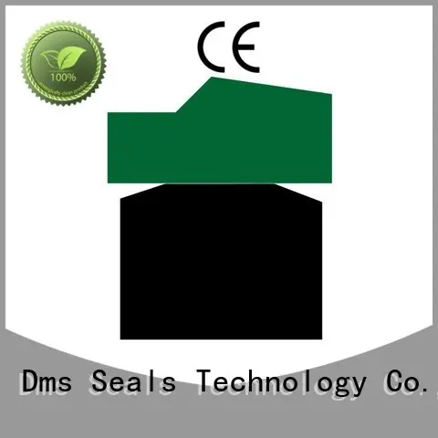 GSD-W PTFE Hydraulic Piston Seal with NBR/FKM O-Ring 1