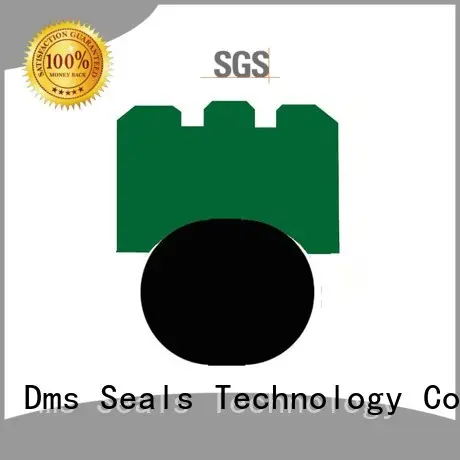 GNS - PTFE Hydraulic Rotary Seal with NBR/FKM O-Ring 1