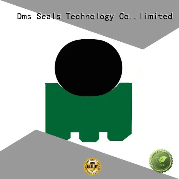 GRS - PTFE Hydraulic Rotary Seal with NBR/FKM O-Ring 1