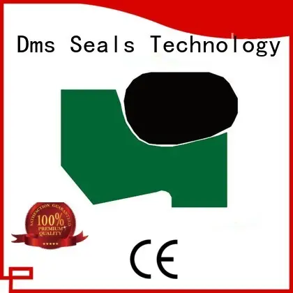 GSZ - PTFE Hydraulic Scraper Seal with NBR/FKM O-Ring 1