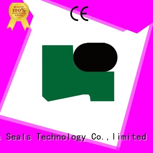 GSZ2 - PTFE Hydraulic Scraper Seal with NBR/FKM O-Ring 1