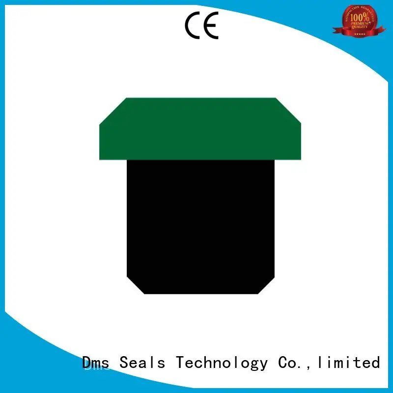 OK - PTFE Hydraulic Piston Seal with NBR/FKM O-Ring 1