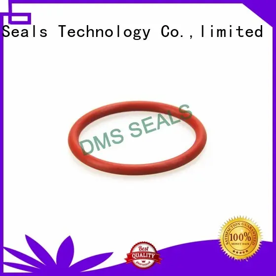 FDA rubber silicone gasket O-Ring 1