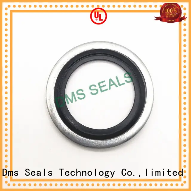 Self-centering dowty bonded seals washer 1