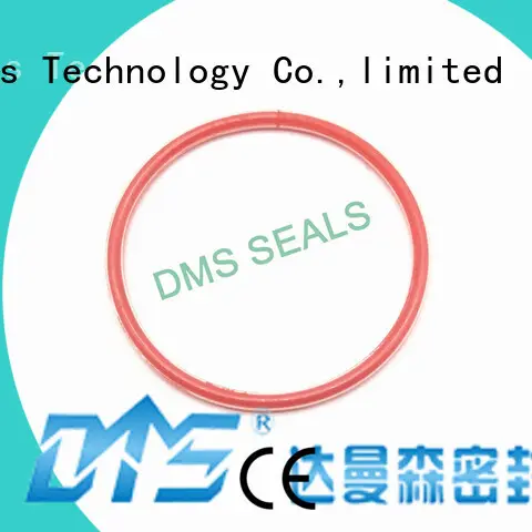 PTFE teflon FEP PFA encapsulated silicone O-Ring 1