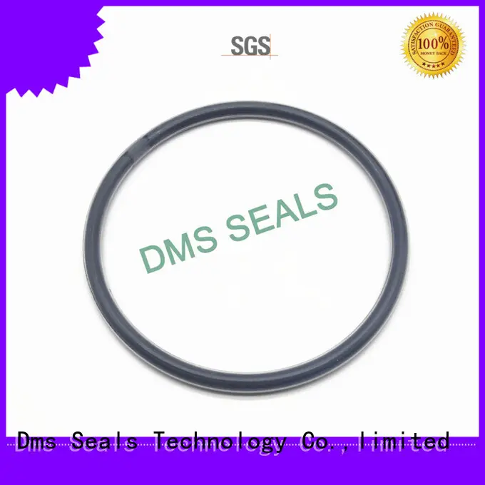 PTFE teflon FEP PFA encapsulated viton O-Ring 1