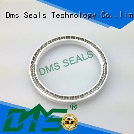 Virgin PTFE FDA Food and Medicine Industry Spring Energized Seal 1